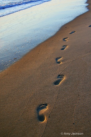 Footprints in the Sand