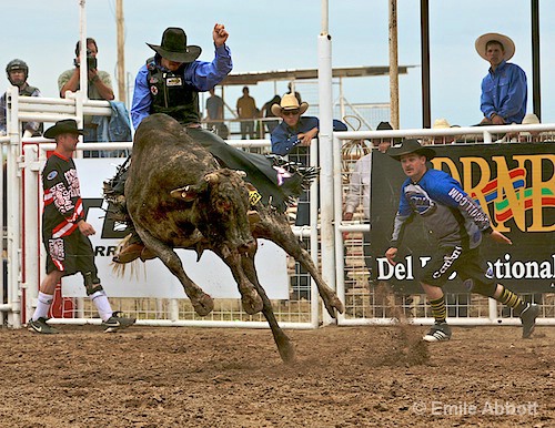 Cooper Kanngiesser, Winner 2008 GPM Bull Ride - ID: 7880570 © Emile Abbott