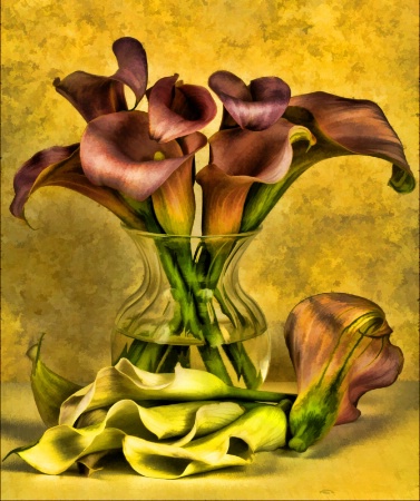 Calla Lillies