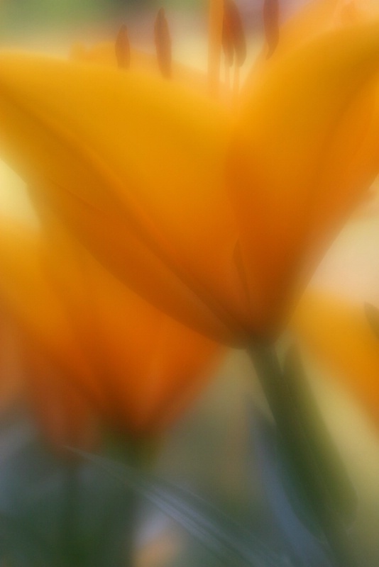 img2