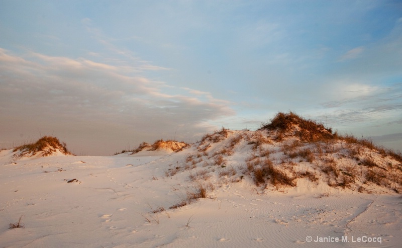Santa Rosa Dunes - ID: 7890334 © Janice M. LeCocq