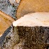 © Elliot Barnathan PhotoID# 7892194: img 0610 1
