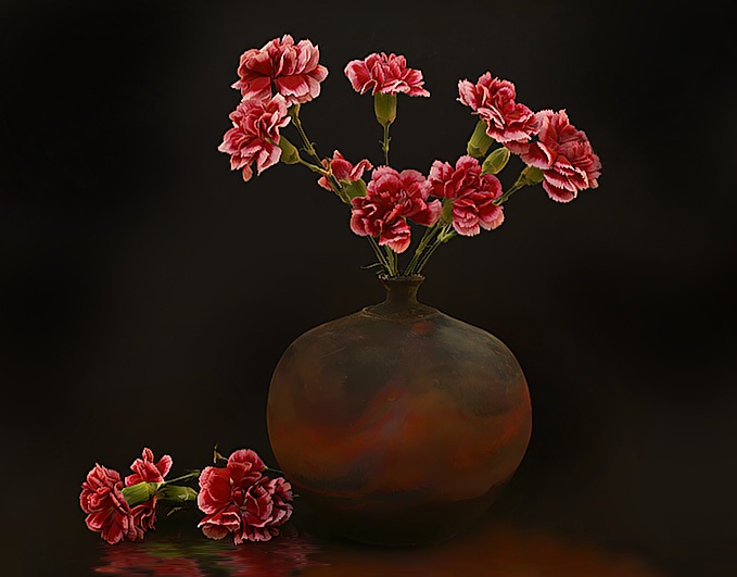 Carnations - ID: 7893654 © Laurie Daily