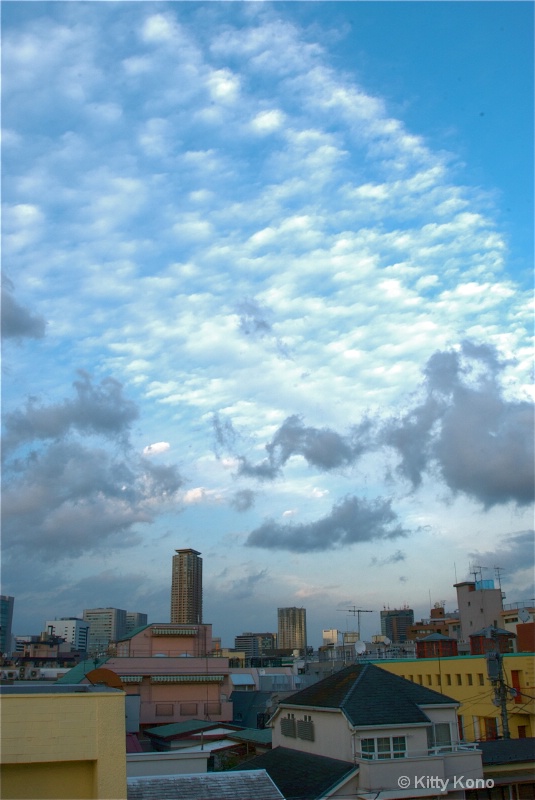 Another Wonderful Sky - From our Roof in Tokyo - ID: 7893687 © Kitty R. Kono