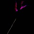 © Elliot Barnathan PhotoID# 7895687: img 2456