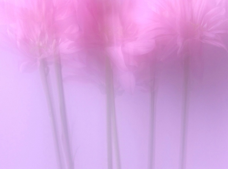 img20