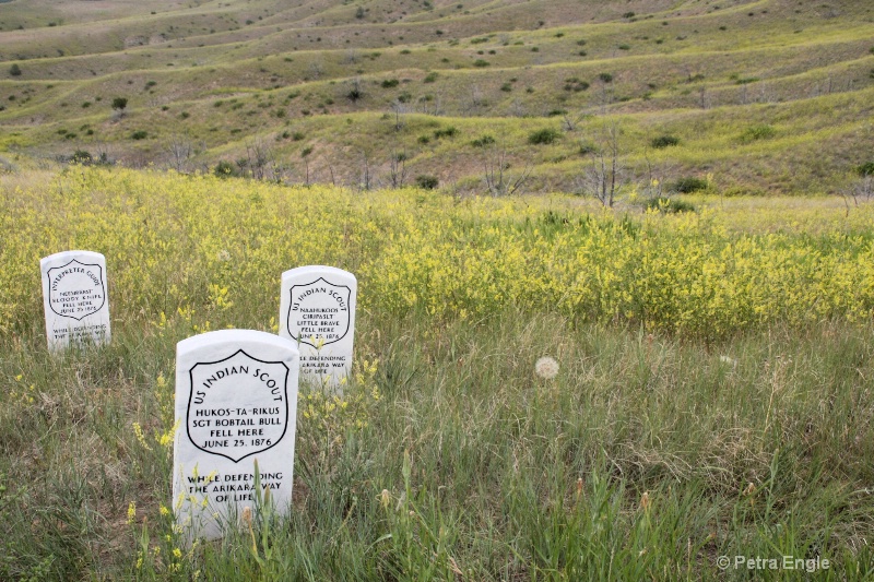 Grave markers at Little Bighorn Natl Battlefield