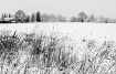 Winter has come.