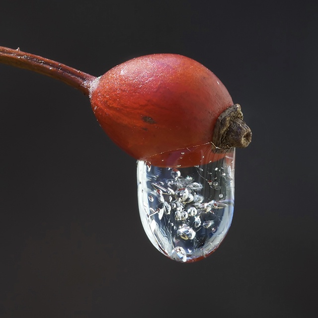 Frozen Droplet