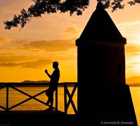 SUNSET SILHOUETTE