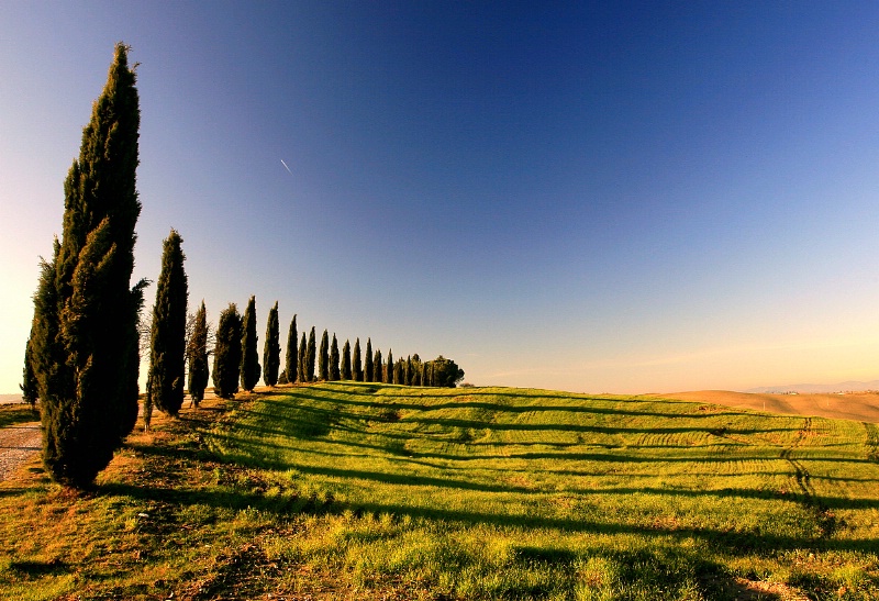 Shadows from Toscana