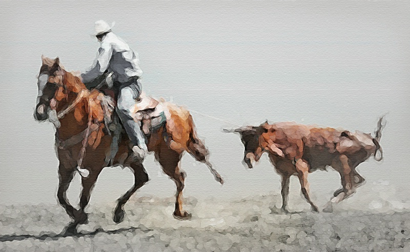 Rodeo Painting - ID: 7906511 © Claudia/Theo Bodmer