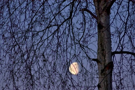6.1 Moon at twilight