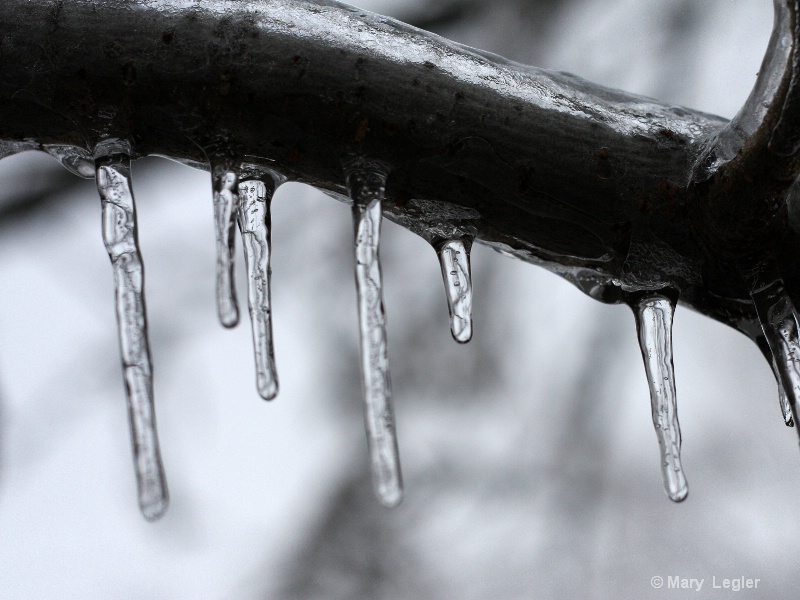 Icy Captured Bubbles