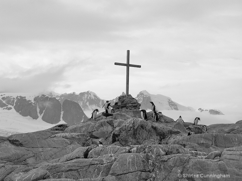 Antarctic Prayer