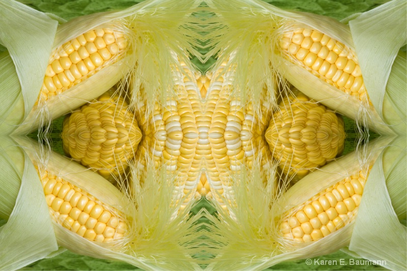 Corn - mulitiplied x4