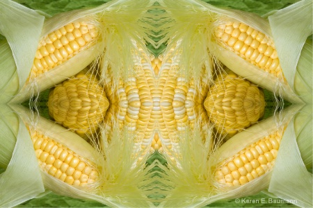 Corn - mulitiplied x4