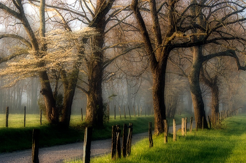 Cades Cove 2