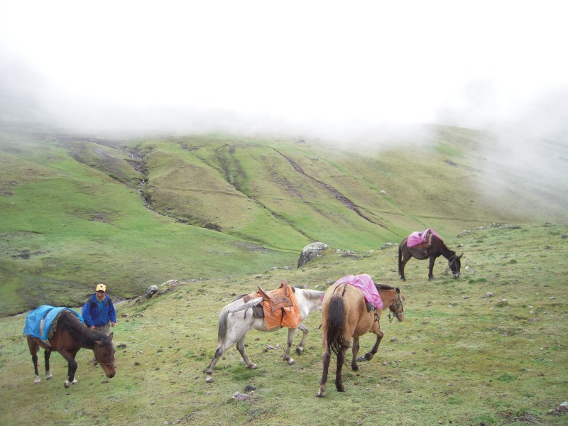 Our horses and our guide for an 11 hr hike