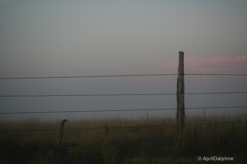 End of  the Free Range