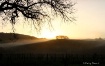 sun rising on the...