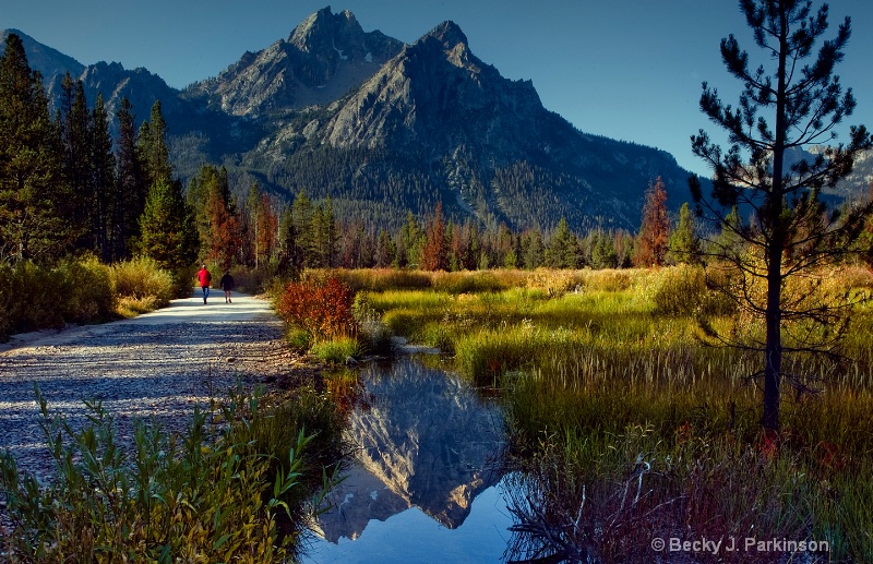 Autumn Glory