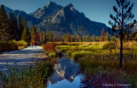 Autumn Glory