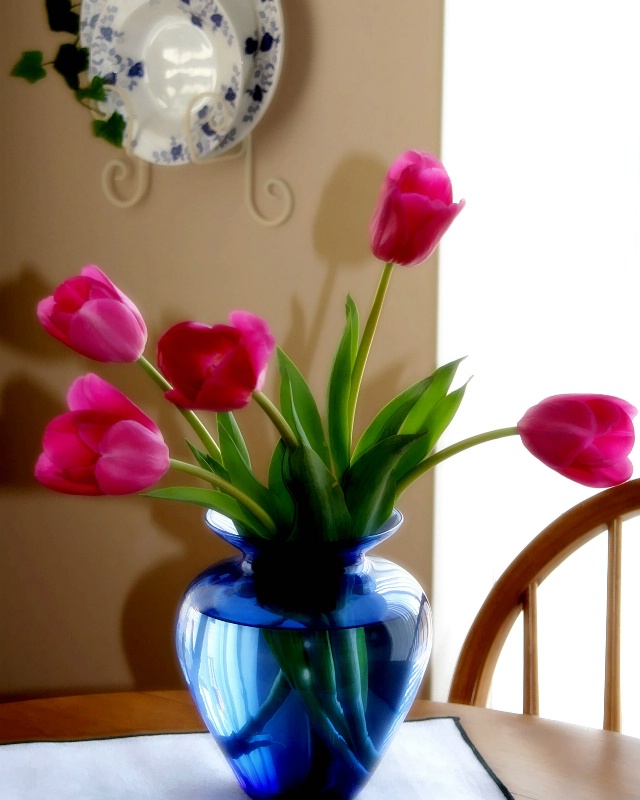 Tulips in my kitchen