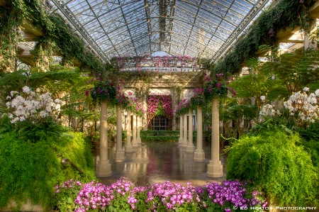 Longwood Conservatory