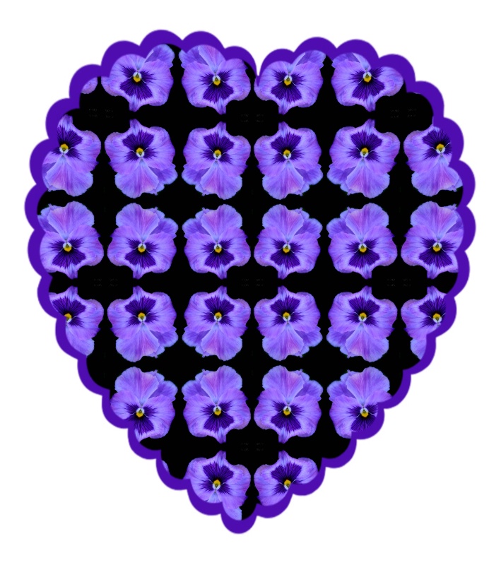Purple Pansy - ID: 7940774 © Theresa Marie Jones