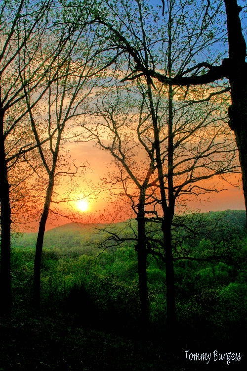 Missouri Foot  Hills Sunrise