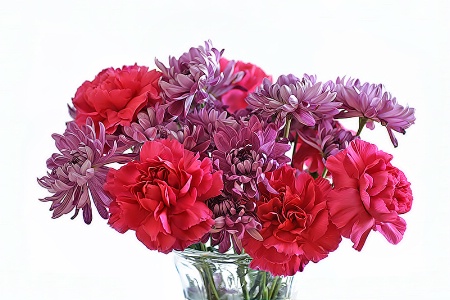 Mums and Carnations