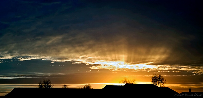 Evening Glory 2