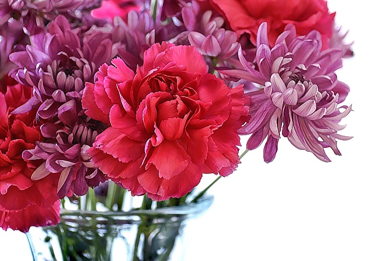 Fresh Cut Flowers