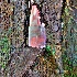 © Elliot Barnathan PhotoID# 7951973: Holey Wall