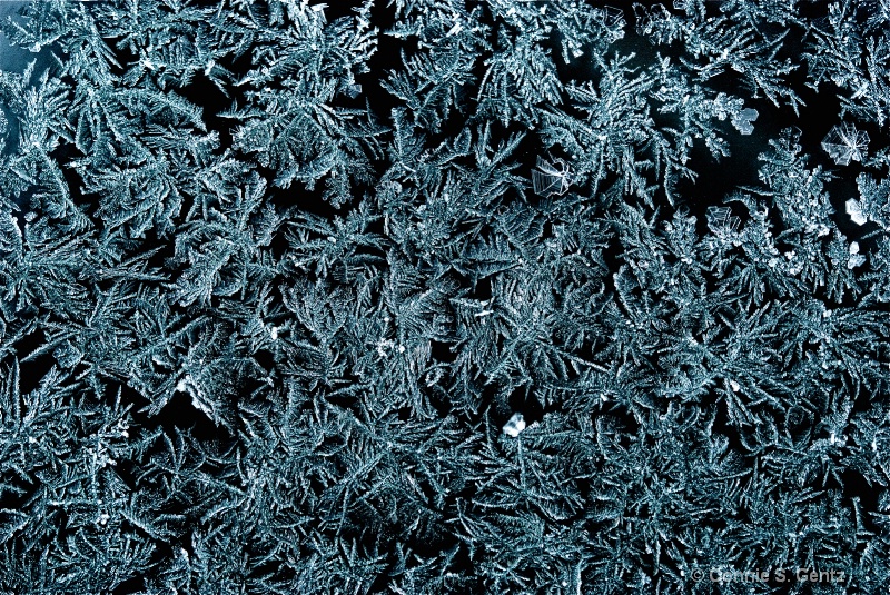 Intricate Details - Ice Crystals