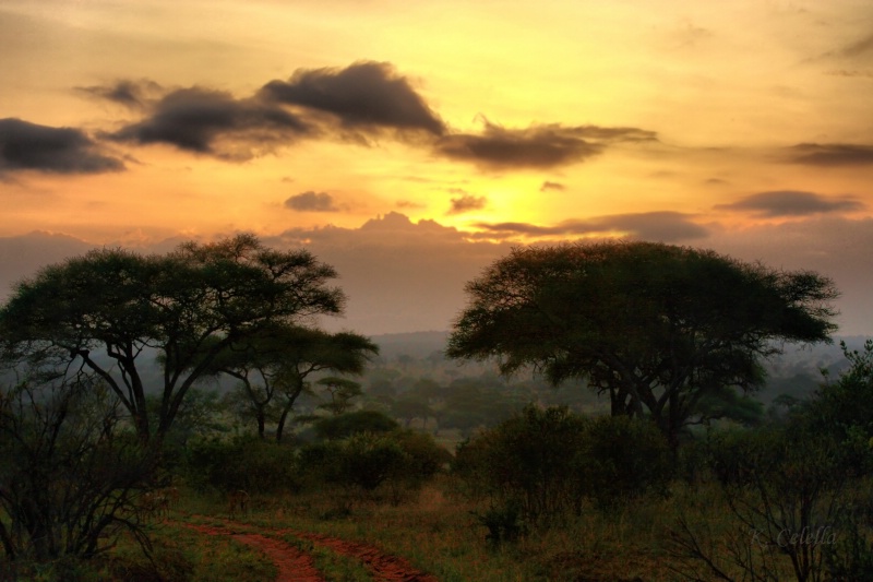 Tanzanian Sunset
