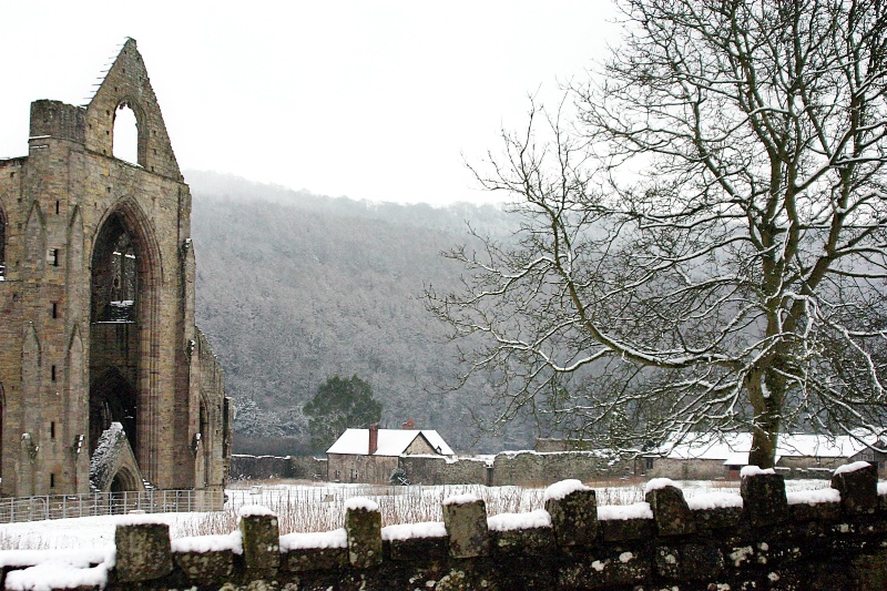 Snowy  Abbey