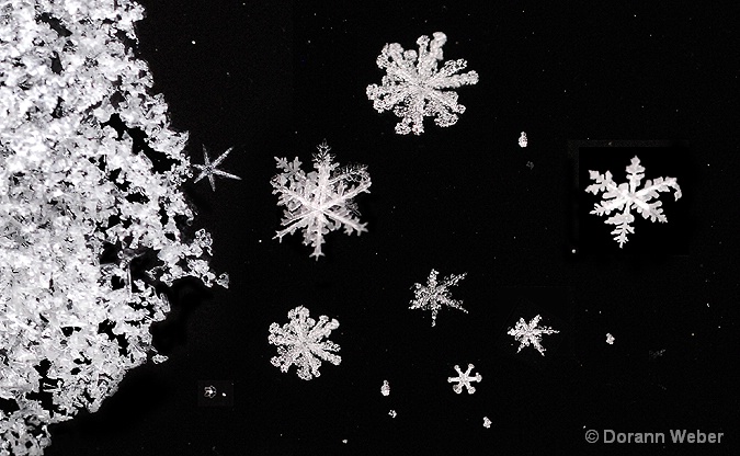 Snowflake Symphony