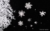 Snowflake Symphon...