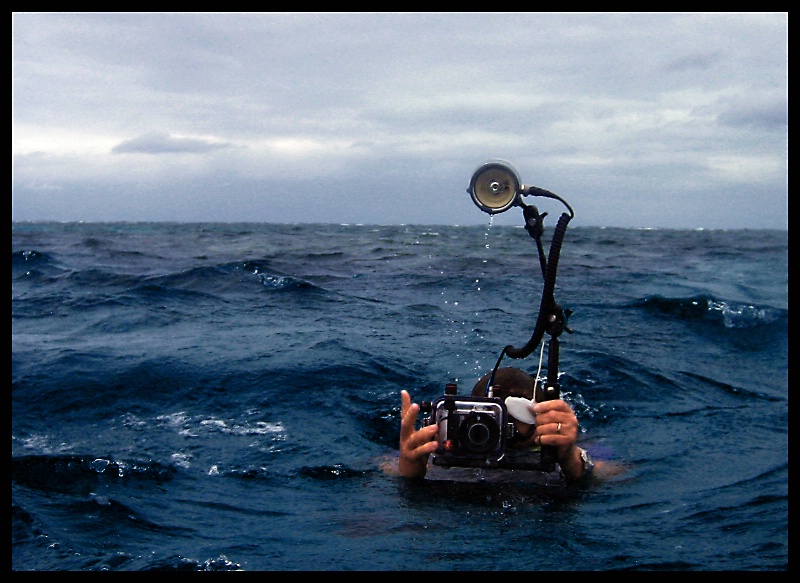 Great Barrier Reef Photographer
