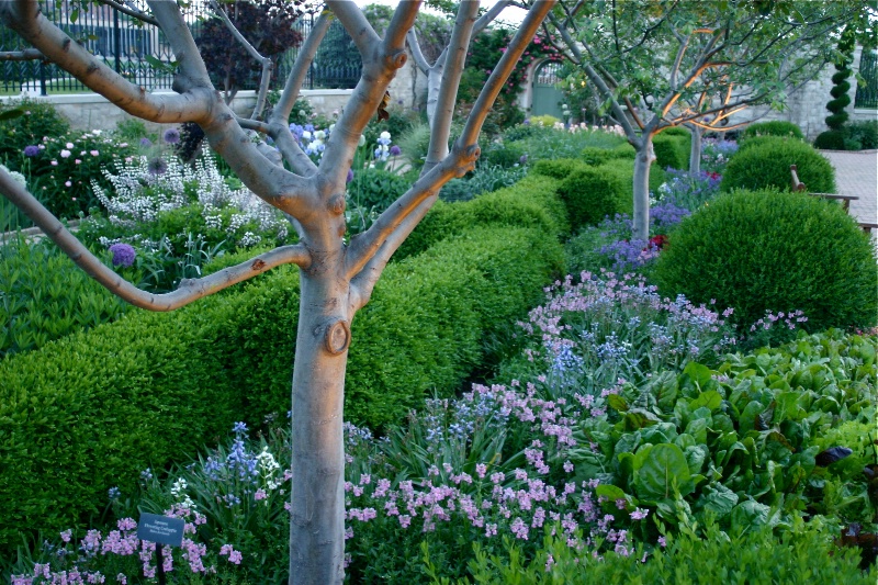 An Artful Garden