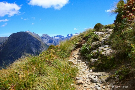Almost at the top - Milford Track - NZ