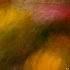 © Elliot Barnathan PhotoID# 7989213: impressionism 1