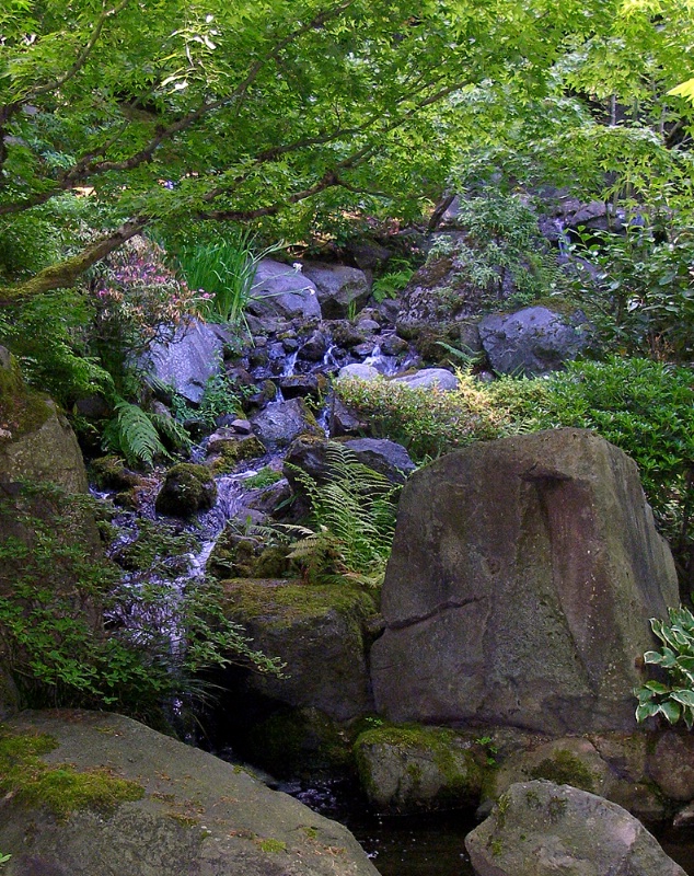 a stream in a Japanese garden