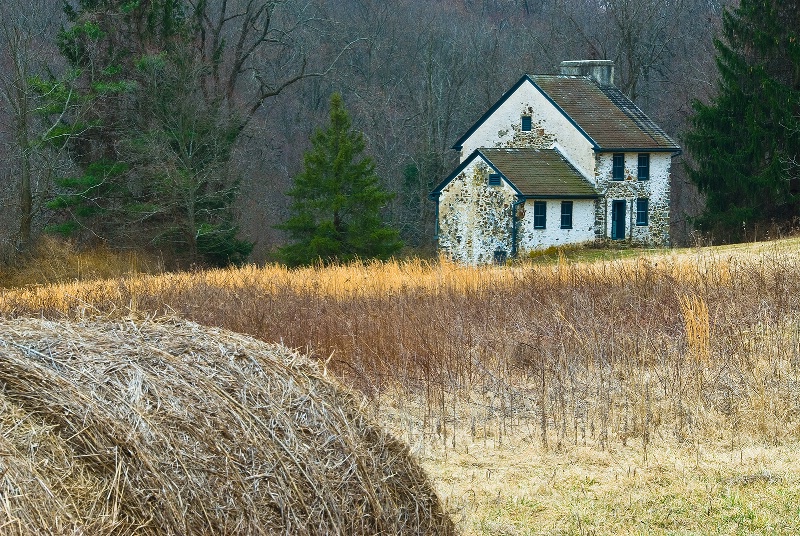 Outstanding In It's Field