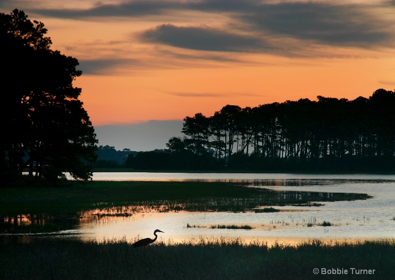 Chincoteague National Wildlife Refuge at sunrise - ID: 7996720 © BARBARA TURNER