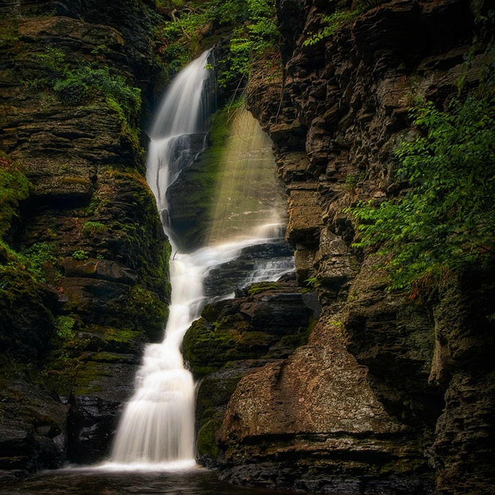 Shower of Eden