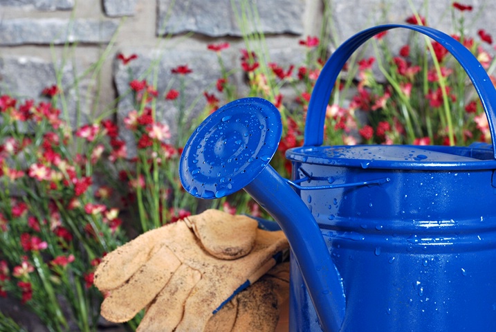 Blue Watering Can