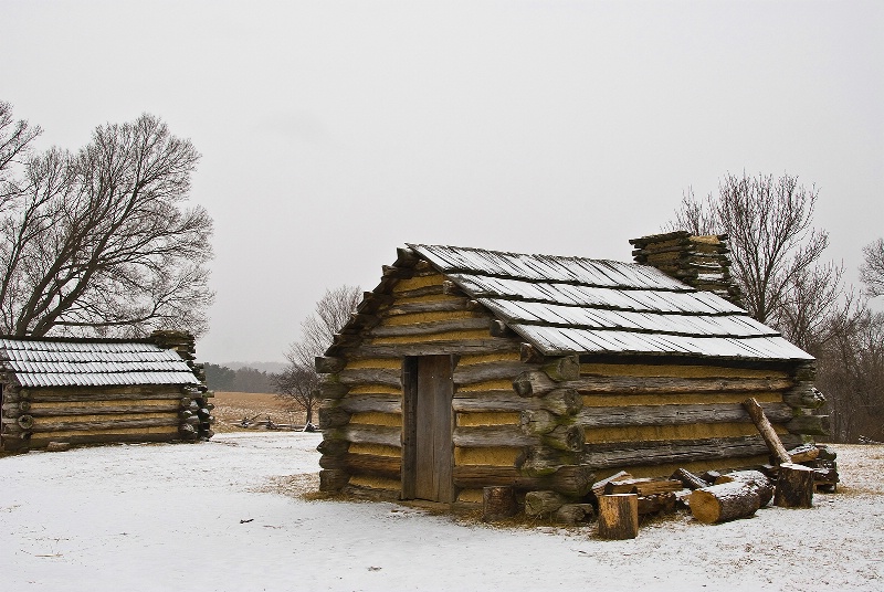 Winter's Cabin Fever